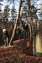 Rostoczek 11.2008 299